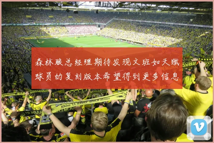 森林狼总经理期待发现文班如天赋球员的复刻版本希望得到更多信息
