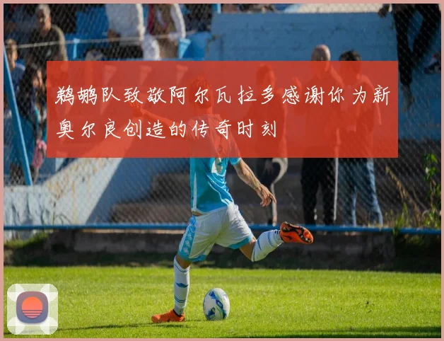鹈鹕队致敬阿尔瓦拉多感谢你为新奥尔良创造的传奇时刻